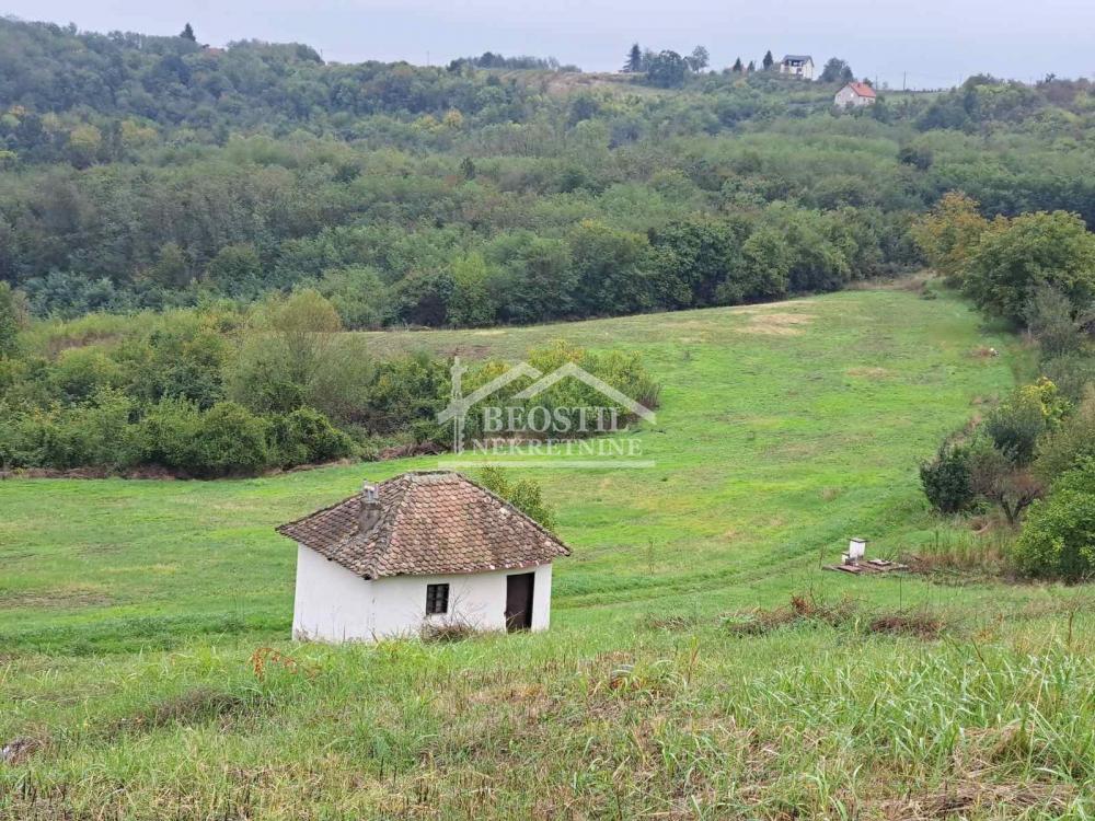 Grocka - Vrčin - 51.5ari ID#22986